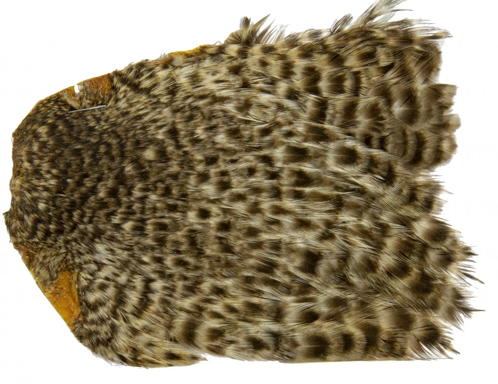 Turrall Indian Hen Neck 7 Turrall Indian Hen Neck - Image 7