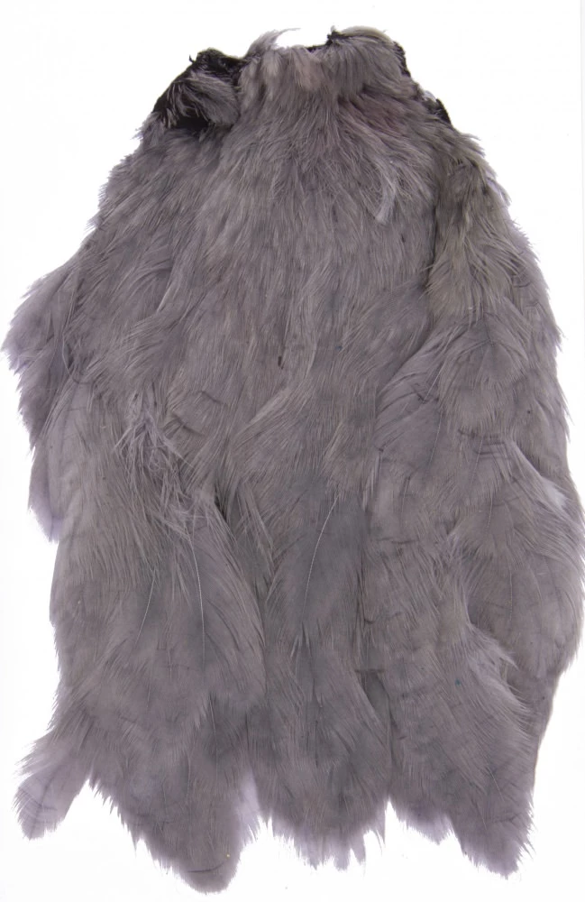 Turrall Indian Hen Neck 4 Turrall Indian Hen Neck - Image 4