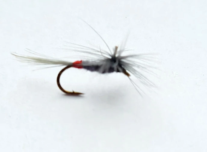 Stillwater Iron Blue Dun Parachute Dry Size 14 - 1 Dozen 1 Stillwater Iron Blue Dun Parachute Dry Size 14 - 1 Dozen