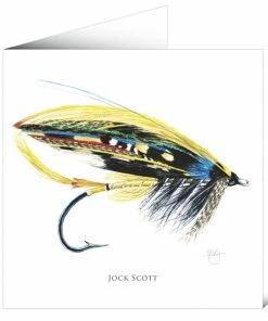 Mayfly Art Jock Scott Greetings Card