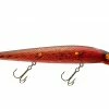 Abu Garcia Killer Optic Lure Floating