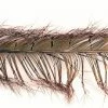 Veniard Knotted Cock Pheasant Tail