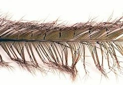 Veniard Knotted Cock Pheasant Tail