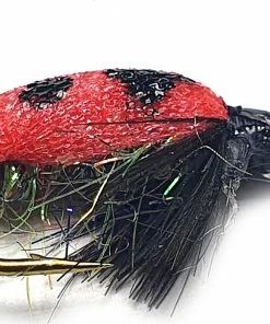 Stillwater Lady Bird Bug Size 10 - 1 Dozen
