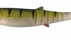 Savage Gear Loose Body Cannibal Shads -Glasgow Angling lb cannibal perch