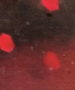 Herakles Leftail-R Soft Lure -Glasgow Angling leftail r black blood