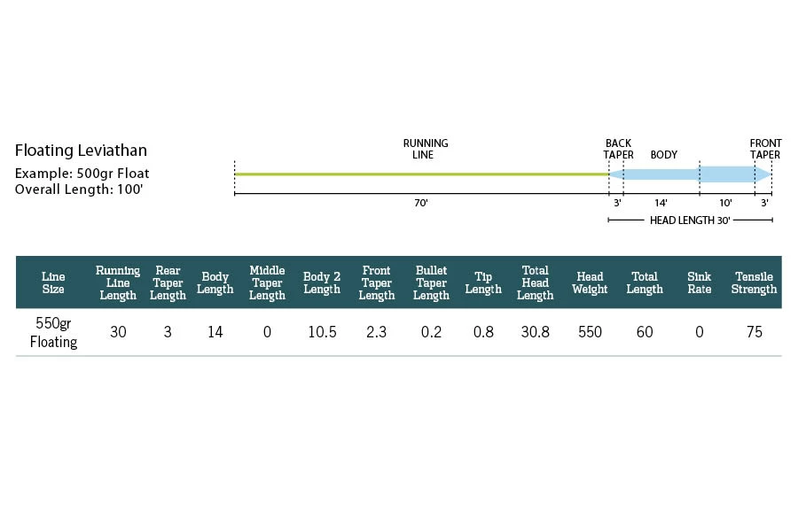 Rio Leviathan Shooting Heads 3 Rio Leviathan Shooting Heads - Image 3