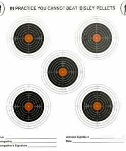 Bisley Five Target on Graded Paper 1000 Pack