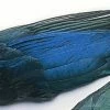 Veniard Magpie Wings
