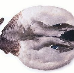 Veniard Mallard Complete Skin