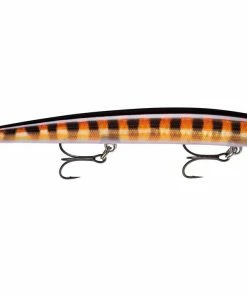 Rapala Max Rap 64 Rapala Max Rap -Glasgow Angling max rap live cal20 20live20cabrilla