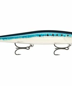 Rapala Max Rap Long Range Minnow 12cm 36 Rapala Max Rap Long Range Minnow 12cm -Glasgow Angling maxrap long range minnow live sardine bsrdl