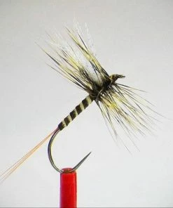 Hends Mayfly Body Sheet -Glasgow Angling mayfly body sheets 2