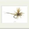 Mayfly Art Mayfly Signed Print