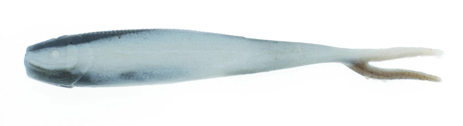 Gulp Minnow 3 Gulp Minnow - Image 3