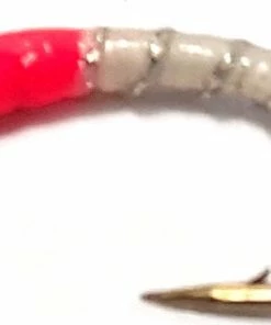 Stillwater Miss Scarlet - 1 Dozen