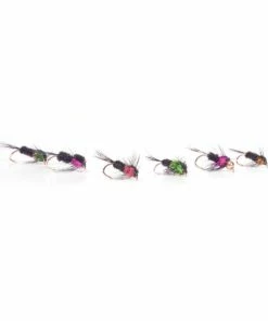 FAF Montana Selection