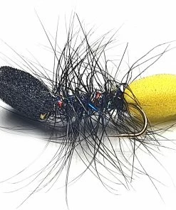 Stillwater Montana Ant Size 10 - 1 Dozen