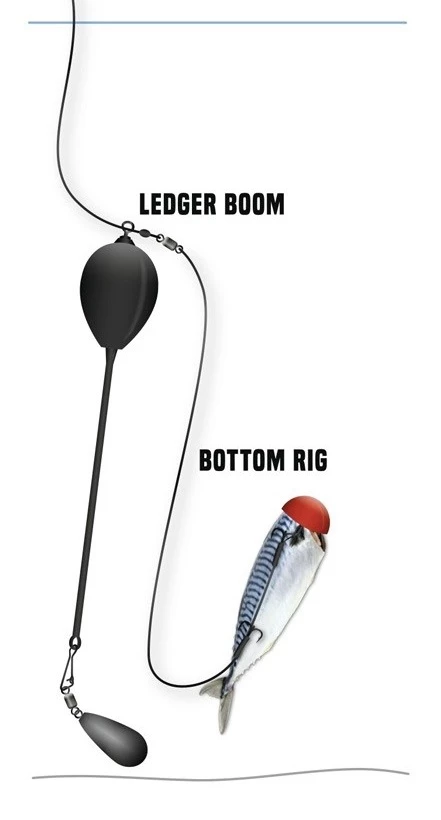 Quantum Mr. Pike Ledger Boom XL Black 17cm 2 Quantum Mr. Pike Ledger Boom XL Black 17cm - Image 2