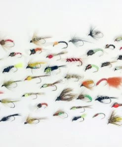 Stillwater 50x Nymphs