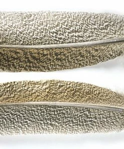 Veniard Turkey Wings & Tails