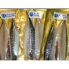 Seafreeze Oiled Mackerel Fillets x 2