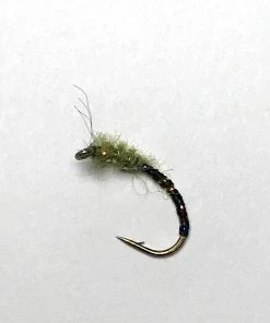 Stillwater Olive Anorexic Buzzer