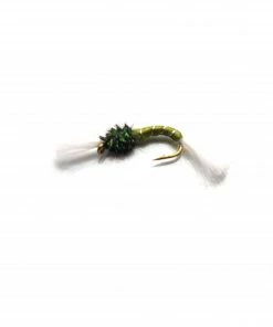 Stillwater Olive Buzzer - 1 Dozen