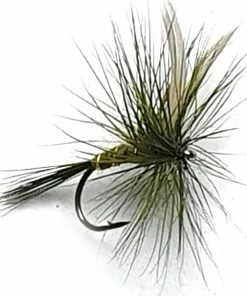 Stillwater Olive Dun Dry Fly - 1 Dozen