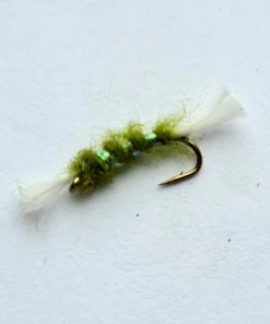 Stillwater Olive Shipmans Buzzer - 1 Dozen