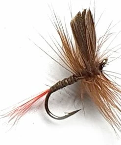 Stillwater Orange Quill Dry Fly - 1 Dozen