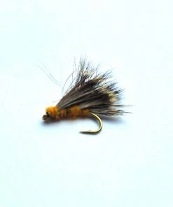 Stillwater Orange Sedgehog - 1 Dozen