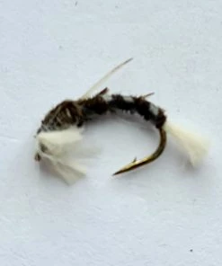 Stillwater Pheasant Tail Polyrib Buzzer - 1 Dozen