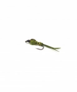 Stillwater Pond Olive (Micro) Size 18 - 1 Dozen