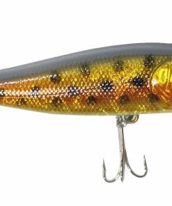 Lineaeffe Popper Lure