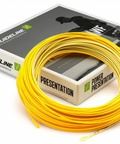 Guideline Power Presentation Float