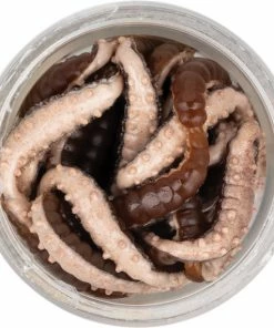 Berkley Powerbait Jar Power Honey Worm 2.5cm 9 Berkley Powerbait Jar Power Honey Worm 2.5cm -Glasgow Angling powerbait jar power honey worm 2 5cm grey20pearl