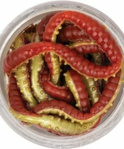 Berkley Powerbait Jar Power Honey Worm 2.5cm 8 Berkley Powerbait Jar Power Honey Worm 2.5cm -Glasgow Angling powerbait jar power honey worm 2 5cm red20yellow