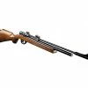 Victory PR900W Air Rifle