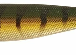Fox Rage Pro Shad Natural Classics II -Glasgow Angling pro shad natural classics ii perch