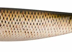 Fox Rage Pro Shad Super Naturals -Glasgow Angling pro shad super natural shad supernatural chub