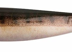 Fox Rage Pro Shad Super Naturals -Glasgow Angling pro shad super natural shad supernatural zander