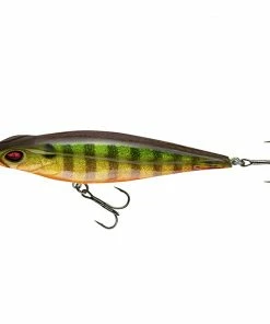 Daiwa Prorex Crazy Stick 11 Daiwa Prorex Crazy Stick -Glasgow Angling prorex20crazy20stick20gold20perch