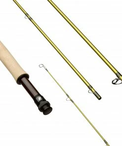 Sage Pulse Single Hand Fly Rod -Glasgow Angling pulse single hand fly rod 590 group scaled