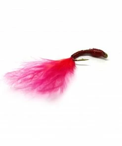 Stillwater Red Devil Wireworm -1 Dozen