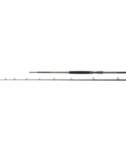 Penn Regiment III Spin & Pilk Rod 2pc