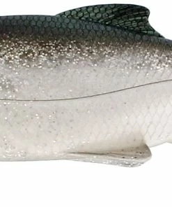 Westin Ricky the Roach Shadtail -Glasgow Angling ricky the roach shadtail 14 headlight