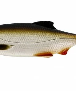 Westin Ricky the Roach Shadtail -Glasgow Angling ricky the roach shadtail 14 lively roach scaled