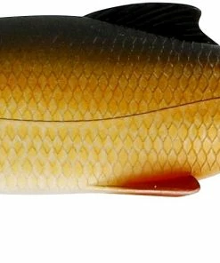 Westin Ricky the Roach Shadtail -Glasgow Angling ricky the roach shadtail 14 livelyrudd