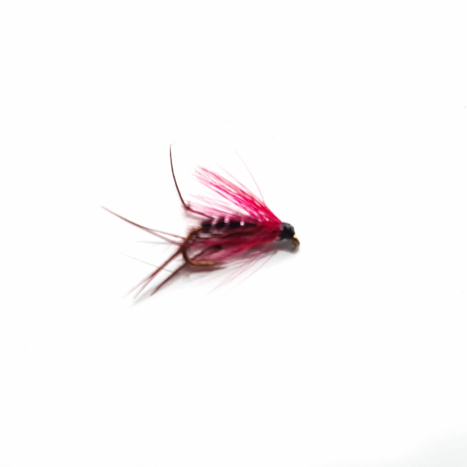 Stillwater Scottish Bibio Hopper Size 12 - 1 Dozen 1 Stillwater Scottish Bibio Hopper Size 12 - 1 Dozen